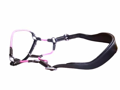 Cwell Equine Deluxe Hybrid-Halfter aus schwarzem Leder und Seil, gepolstert, Full/Cob/Pony (Pink COB) von Cwell Equine