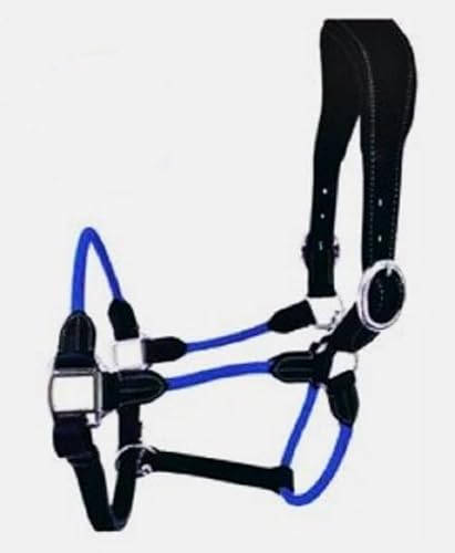 Cwell Equine Deluxe schwarzes Hybrid-Halfter aus Leder und Seil, gepolstert, Full/Pony, Blau von Cwell Equine