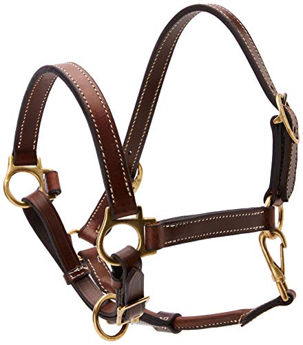 Cwell Equine Newmarket Kopfteil, geöltes Leder, Braun von Cwell Equine