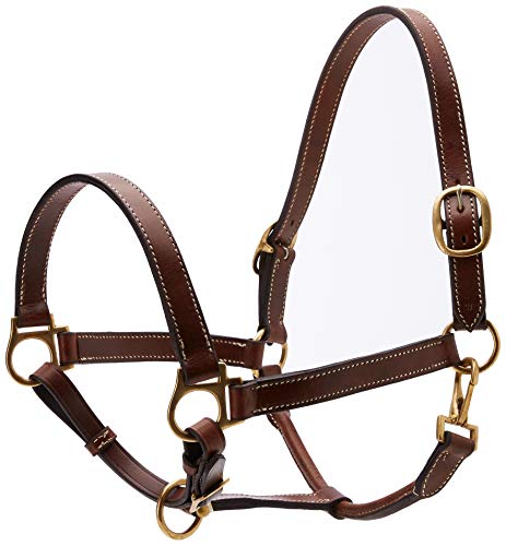 Cwell Equine Newmarket Kopfteil, geöltes Leder, Braun von Cwell Equine