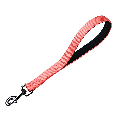 Cyclpet Fortschrittliche 30,5 cm lange Nylon-Leine mit weichem, bequemem, gepolstertem Griff für große und mittelgroße Hunde, den täglichen Gebrauch, Joggen, Walken, Training usw. (30,5 cm, Living von Cyclpet