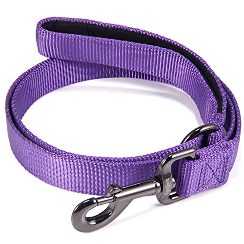 Cyclpet Klassische Hundeleine für Hund, Leine mit komfortablem, gepolstertem Neopren-Griff, Nylon, für Welpen, 122 cm (klein, ultra-violett) von Cyclpet