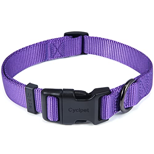 Cyclpet Klassisches, verstellbares Hundehalsband, aus Nylon, weich und glatt, 1,9 cm breit, mit Schnellverschluss-Schnalle für mittelgroße Hunde (Medium, Ultra Violett) von Cyclpet