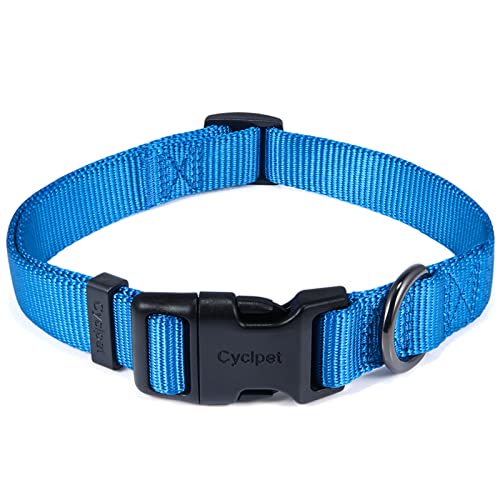 Cyclpet Klassisches Hundehalsband, Nylon, verstellbar, weich und glatt, normale 1,9 cm breite Hundehalsbänder mit Schnellverschluss-Schnalle für mittelgroße Hunde. (Größe M, klassisches Blau) von Cyclpet