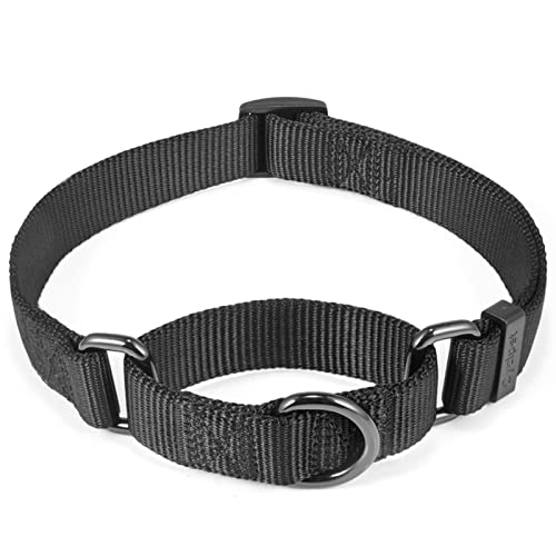 Cyclpet Martingale Hundehalsband, Nylon, verstellbar, Komfort und seidiges Training, mit robustem Clip für aktive Hunde, Schwarz, Größe L von Cyclpet