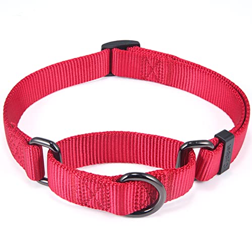 Cyclpet Martingale-Hundehalsband, hochwertiges Nylon, verstellbar, Anti-Ausbruch, robuste Metallteile für große aktive Hunde, tägliches Spazierengehen, Training usw. (Chili, Größe L) von Cyclpet