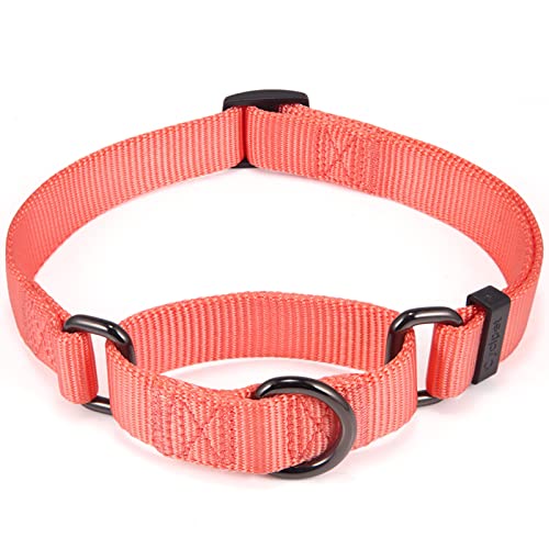 Cyclpet Martingale-Hundehalsband, Nylon, verstellbar, Komfort und seidiges Training, mit robustem Clip für aktive Hunde (Living Coral, Medium) von Cyclpet