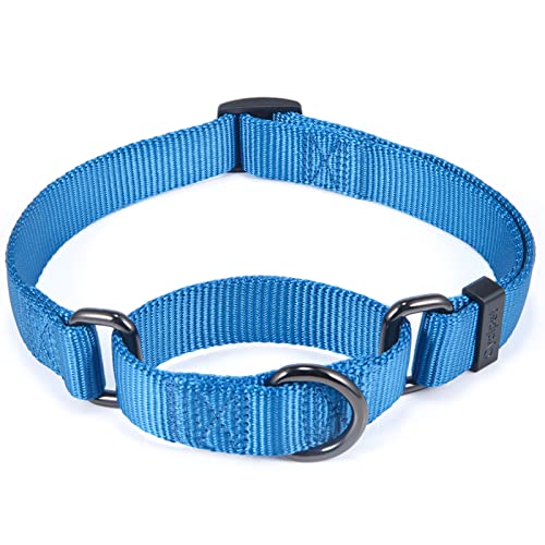 Cyclpet Martingale Hundehalsband, Nylon, verstellbar, Komfort und seidiges Training, mit robustem Clip für aktive Hunde (klassisches Blau, Größe M) von Cyclpet