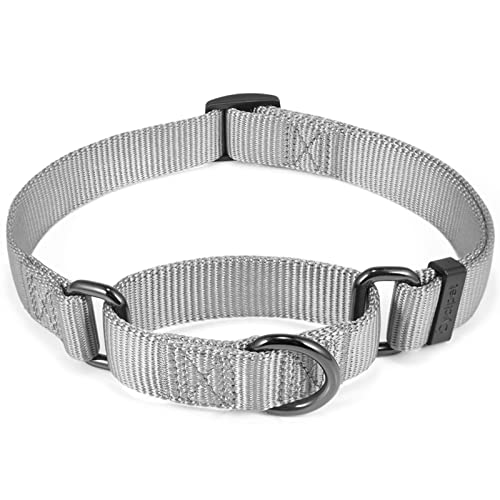 Cyclpet Martingale-Hundehalsband, Nylon, verstellbar, Komfort und seidiges Training, mit robustem Clip für aktive Hunde (ultimatives Grau, klein) von Cyclpet