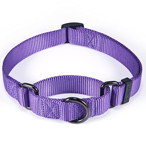 Cyclpet Martingale Hundehalsband, Nylon, verstellbar, Komfort und seidiges Training, mit robustem Clip für aktive Hunde (ultraviolett, groß) von Cyclpet