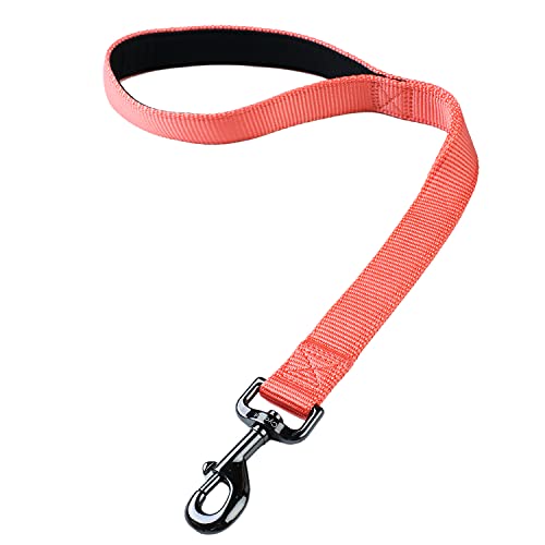 Cyclpet Premium Kurz-Hundeleine aus Nylon, mit robustem Verschluss und weich gepolstertem Griff, für große und mittelgroße Hunde, den täglichen Gebrauch, Joggen, Walken, Training usw., 45,7 cm, Living von Cyclpet