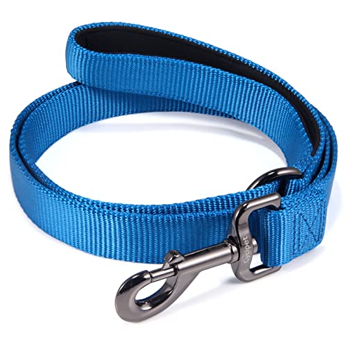 Cyclpet Standard-Hundeleine, Hunde Führstrick mit komfortablem Neopren-gepolstertem Griff, kleine Leine, Nylon (klein, klassisch blau) von Cyclpet