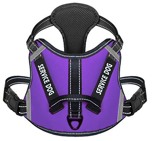 Cymiler Hundegeschirr, kein Ziehen, mit Griff, verstellbarer Komfort-Hundeweste, Hundegeschirr für Outdoor-Spaziergänge, 3M reflektierende Weste, L:Neck 18.1-27.6"|Chest 24-36.6", violett von Cymiler