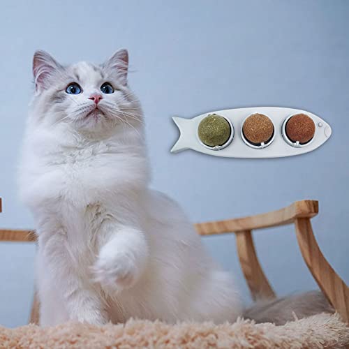 3pcs Catnip Wall Ball, 3 in 1 Catnip Balls Toy for Cats with Transparent Cover Catnip Wall Balls for Cats, Interactive Toys for Cat Teeth Cleaning Kitten Chewing von Cymwer