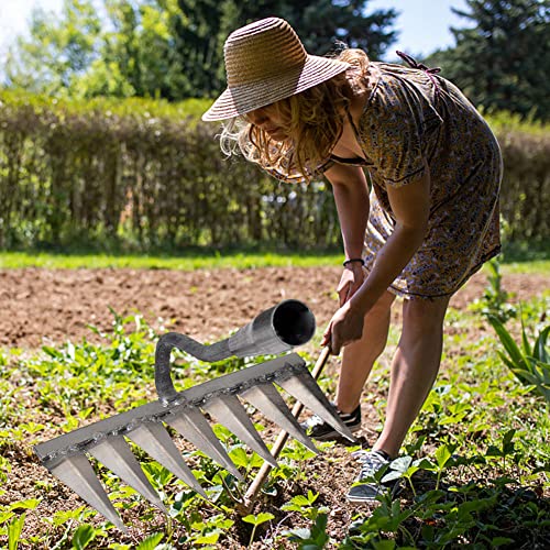 Cymwer Professionelle Stahlhacke, Gartenjätwerkzeug, Gartenhacke und Rechen zum Pflanzen von Bodenglättung und Lockern, oszillierender Hackenrost for Unkraut im Hinterhof, Gemüsegarten von Cymwer