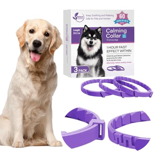 CymwerBeruhigungshalsband für Hunde und Katzen, Angst-Halsband mit Einstellbarer Größe, Beruhigungsmittel für Katzen und Hunde, Stressabbau, Beruhigende Wirkung für Haustiere von Cymwer