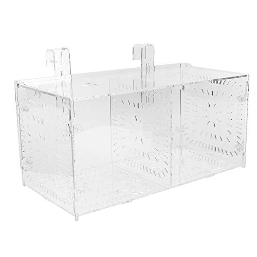 Fisch-Trennbox, Transparenter Acryl-Aquarium-Zucht-Isolationsbox-Aquarium-Brüterei-Inkubator-Halter(30CM*15CM*15CM) von Cyrank