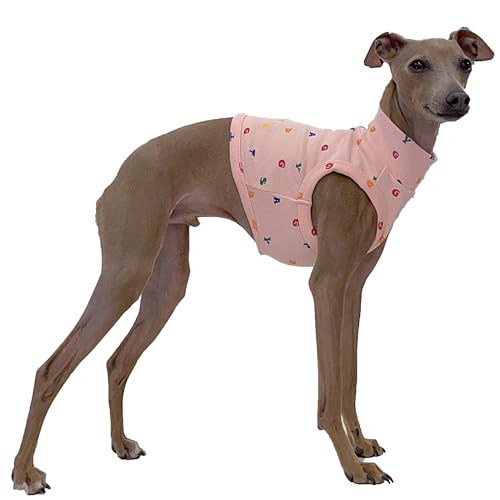 D DOGGY STAR Croptop für italienische Windhunde, dehnbar, Whippet für Hunde, Größe L, Alpbt Croptop, Rosa von D DOGGY STAR