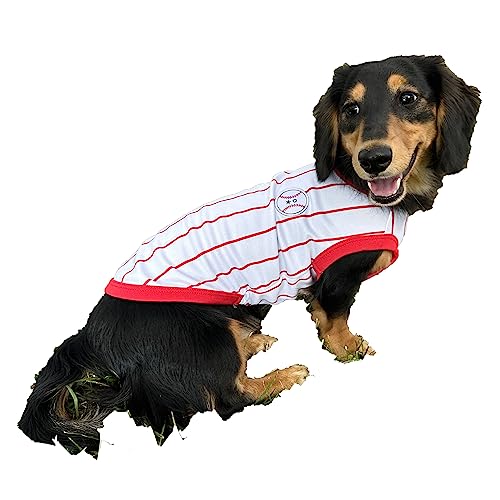 D DOGGY STAR Dackel Kleidung für Hunde Baseball Mini und Erwachsene T-Shirts (L,Baseball Rot) von D DOGGY STAR