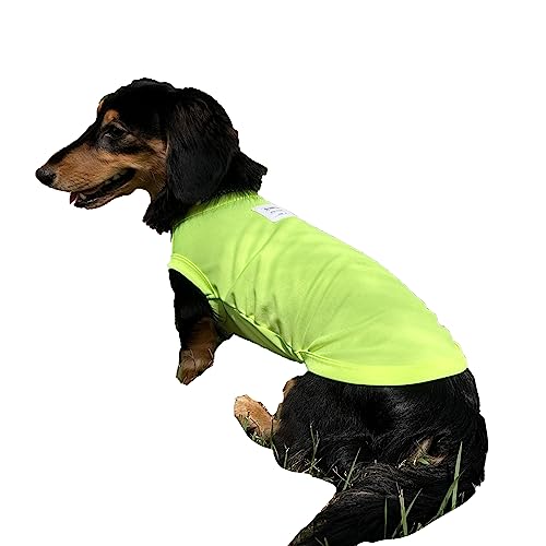 D DOGGY STAR Dackel-Kleidung für Hunde Mini und Erwachsene, Neon-T-Shirts, Größe L, Neongelb von D DOGGY STAR