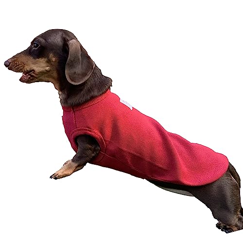 D DOGGY STAR Dackel-Kleidung für Hunde Mini und Erwachsene T-Shirts (L,Solid Wine) von doggystar