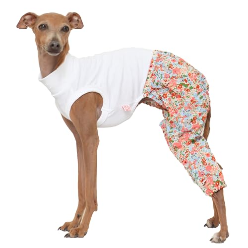 D DOGGY STAR Mombbe Einteiler-Outfit für italienische Windhunde, Whippet für Hundemantel, Größe 3XL, Mombbe Orange von D DOGGY STAR