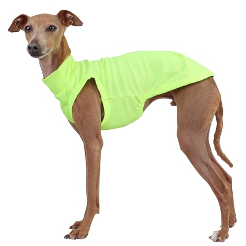 D DOGGY STAR Italienische Windhund-Kleidung, Sommer, cooles T-Shirt, Rashguard, Badeanzug, Whippet für Hunde, Größe L, Neongelb von doggystar