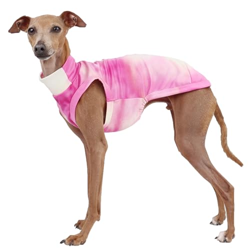 D DOGGY STAR Italienische Windhund-Kleidung, Sommer, cooles T-Shirt für Hunde, Größe 3XL, Rosa gebeizt von D DOGGY STAR