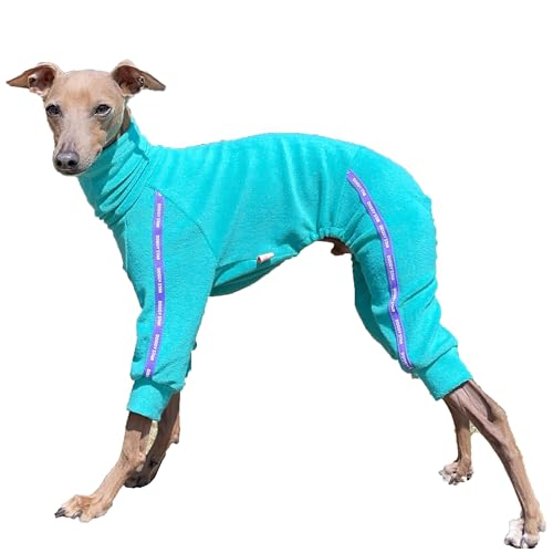 D DOGGY STAR Italienische Windhundkleidung, dehnbares Handtuch, Sport-Einteiler, Outfit, Whippet für Hundemantel (3XL, TWL Türkis) von D DOGGY STAR