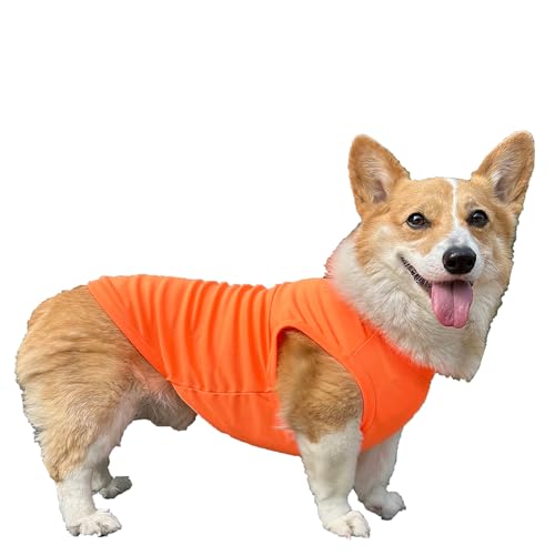 D DOGGY STAR Walisische Corgi-Kleidung für Hunde, Frühling, Sommer, kühlend, ärmellos, Größe 4XL, Neonorange von D DOGGY STAR