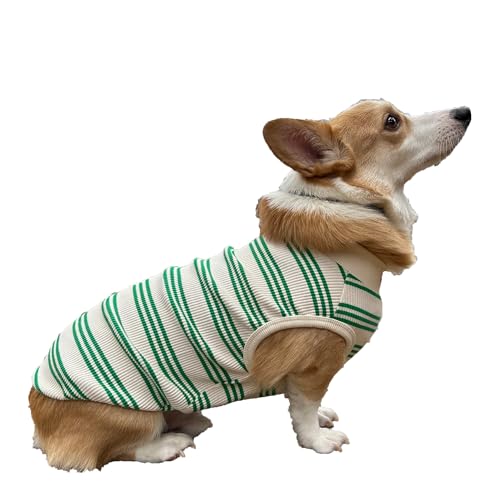 D DOGGY STAR Welsh Corgi Kleidung für Hunde, gestreift, Baumwolle, dehnbar, ärmellos, Größe 3XL, Grün gestreift von D DOGGY STAR