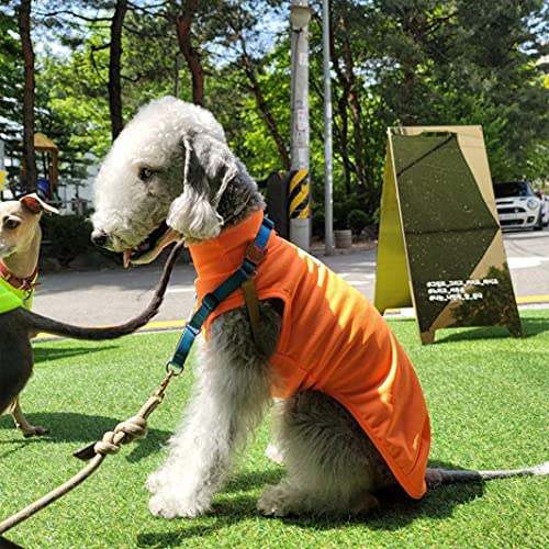 Italienischer Windhund-Kleidung, cooles Tank-Top, Whippet-Kleidung, Bedlington Terrier, Kleidung, Doggy Star (orange, klein) von D DOGGY STAR