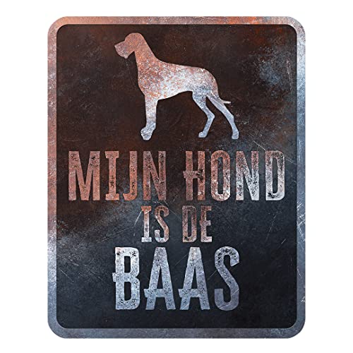 D&D Home, Warnschild Achtung am Hund, 25 x 20 x 0,3 cm, niederländische Version, schwarzer Hintergrund, Warnschild aus Metall, rostbeständig, mit lustigem Text von D&D Home