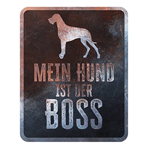 D&D Home, Warnschild Achtung an den Hund, 25 x 20 x 0,3 cm, deutsche Version, schwarzer Hintergrund, Warnschild aus Metall, rostbeständig, mit lustigem Text von D&D Home