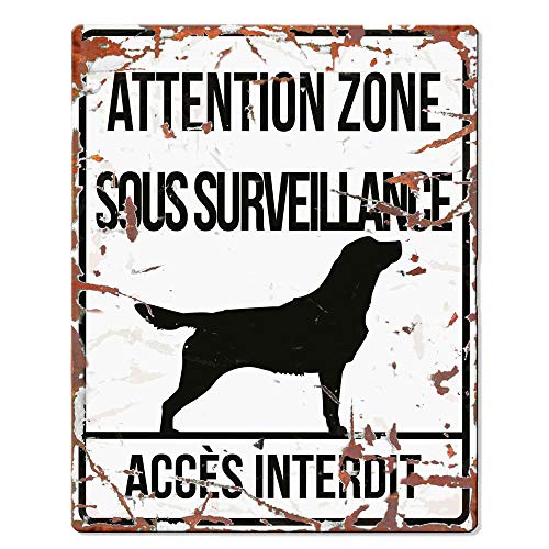 D&D Home Warning Sign Square Retriever F 20 x 25 cm Weiß von D&D Home