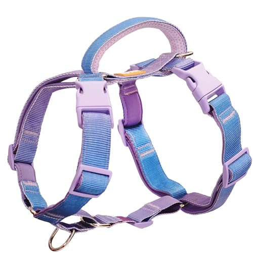 DF Freedom Martingale-Hundegeschirr, kein Ziehen, einfacher Griff, ausbruchsicher, 5-Punkt-Hundegeschirr, anpassbare Passform, mit Clip vorne und hinten, einfaches Gehen und Training, Regenbogen, von DF