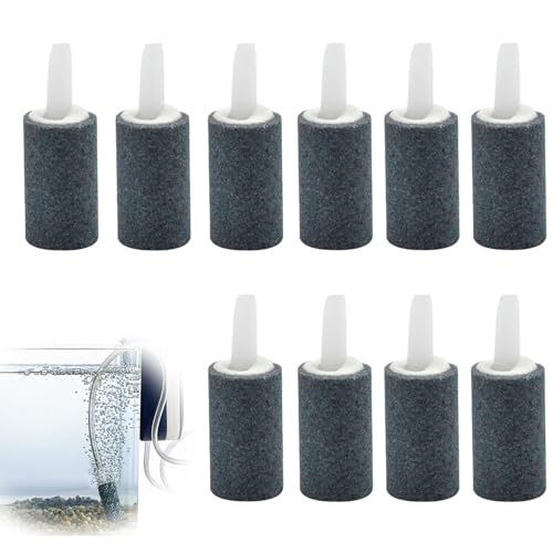 10 Stücke Luftstein Für Aquarium,Aquarium Luftstein,2,5 Cm Luftstein Aquarium,Airstone,Zylinder Blase Diffusor,Sprudelstein,Sprudelstein Für Aquarium Für Aquarium-Aquariumpumpe Und Hydroponik von DAAIZIII