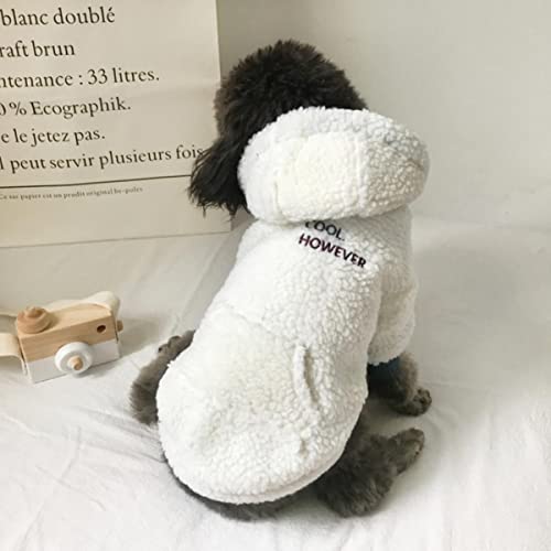 Mode Hund Hoodie Katze Welpen Kleidung für Hundemantel Hoodie Outfit Yorkshire Pomeranian Bichon Frise Schnauzer Hundebekleidung Kostüm von DACCU