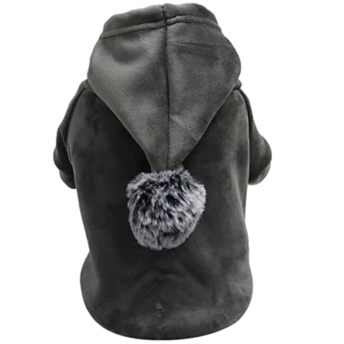 Mode Winter Hundemantel Weicher Samt Stoff Haustier Hoodie Jacke Für Kleine Hunde Warmer Haustier Hoodie für Yorkies Chihuahua Welpen Kleidung von DACCU