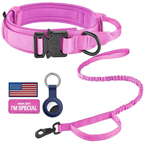 DAGANXI Taktisches Hundehalsband, Verstellbares Militärtraining Nylon Hundehalsband mit Kontrollgriff und Schwermetallschnalle für mittelgroße und große Hunde, mit Patches und Airtags-Etui (XL, von DAGANXI