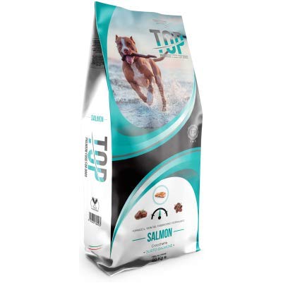 Top Premium Food for Dog kg 20 Salmone von DAGEL