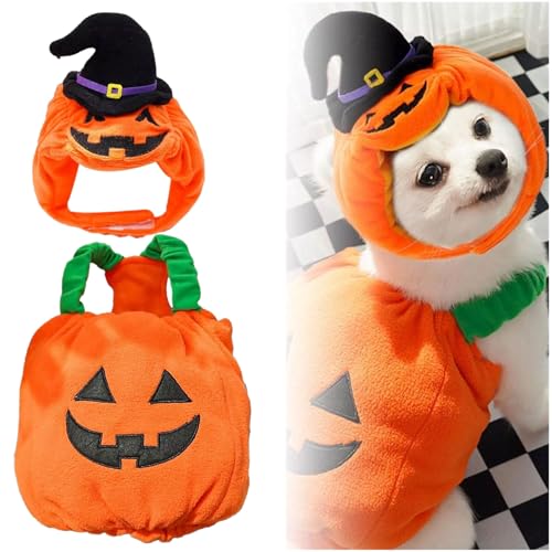 DAGESVGI Halloween-Hundekostüm, lustiges Kürbislaternen-Outfit für Hunde, niedlicher Kürbis-Anzug mit Hut für Hunde, Katzen, Welpen, Halloween, Party, Cosplay von DAGESVGI