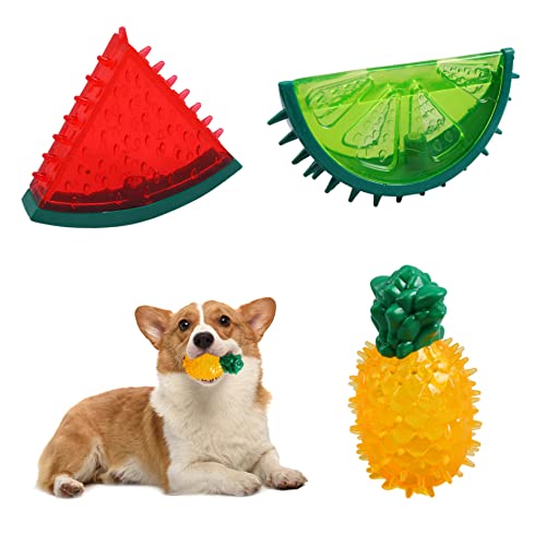 DAGLLGEW Hunde Zahnen Spielzeug Cooler Hund Kaut Spielzeug Hundekühlung Spielzeug für Welpen Wassermelon Ananas Form Gefrierschrank Hunde Interaktives Spielzeug Sommer Squeaky Toys 3pcs von DAGLLGEW