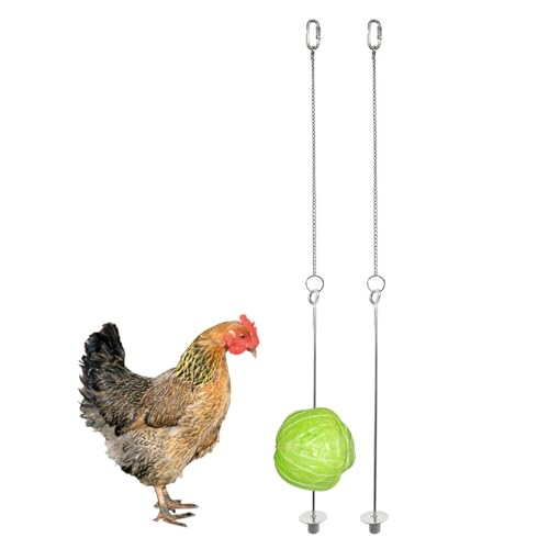 DAGLLGEW Hühnerspielzeug für Hühner Hühnchen Gemüse Spieß Edelstahl Haustier Hühnerfruchtfutterhalter Hanges Feederspielzeug für Hühner kleine Vögel 2pcs von DAGLLGEW