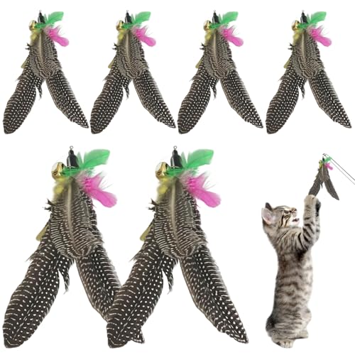 Katzenstab -Befestigungsspielzeug 6pcs BITISPESTANT CAT CAT ABANCEMENT SEVENTION HEAD Natürliche Katzenstab Spielzeug Austausch mit Schleife Fun Cat Fishing Stange Spielzeug Ersatz für Kätzchen und K von DAGLLGEW