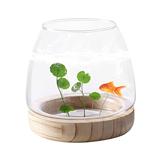 Kleine Aquarium Glas Aquarien Vase Fischglas Vasen hydroponische transparente Pflanzenvasen für Heim und Bürodekoration von DAGLLGEW