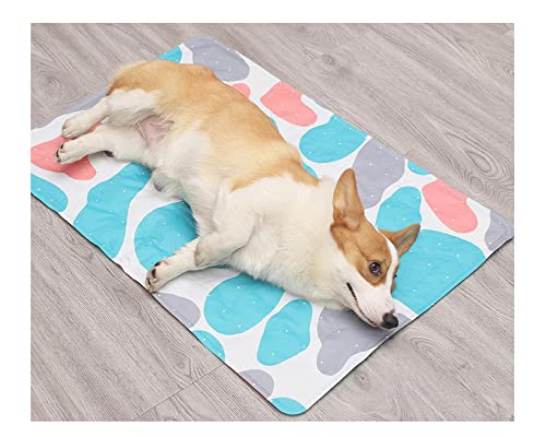 DAIHAN Cartoon-Hunde Kühlmatte Katze Kühldecke Ice Silk Kühlmatte Matte Gel-Pad Non-Toxic Katzen Schlafmatratze Kühlkissen Haustier Bett für Zuhause und Reisen im Sommer 1 30 * 40cm von DAIHAN