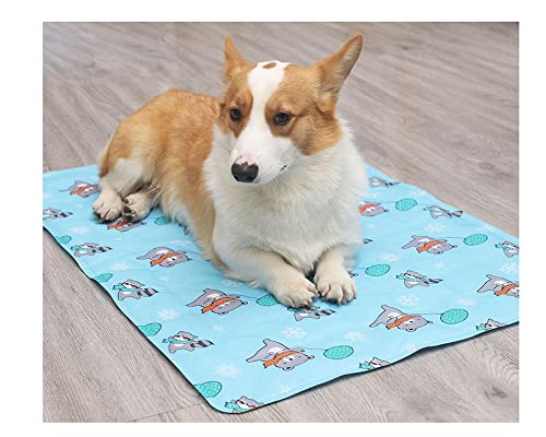 DAIHAN Cartoon-Hunde Kühlmatte Katze Kühldecke Ice Silk Kühlmatte Matte Gel-Pad Non-Toxic Katzen Schlafmatratze Kühlkissen Haustier Bett für Zuhause und Reisen im Sommer Bär 30 * 40cm von DAIHAN