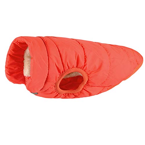 DAIHAN Haustier Hund Warm Mantel Jacke wasserdichte Kleidung Gepolstert Puffer Weste Winterpullover für Kleine, Mittelgroße und Große Hunde,Orange,XS von DAIHAN