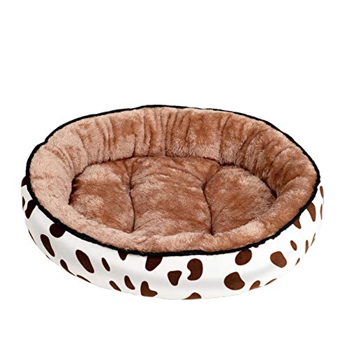 DAIHAN Hundebett Hundekissen Hundesofa Hundematratze Plüsch-Katzenbett Warme Weiche Bequeme Hundehütte Tierbett Katzensofa Haustier Schlafbettmatte Schlafen Bett,Kaffee,XL (70 * 60CM) von DAIHAN